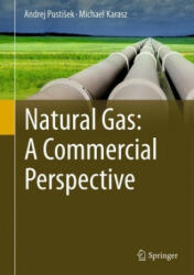 Natural Gas: A Commercial Perspective - Andrej PustiSek, Michael Karasz (ISBN: 9783319532486)