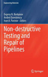 Non-destructive Testing and Repair of Pipelines - Evgeny N. Barkanov, Andrei Dumitrescu, Ivan A. Parinov (ISBN: 9783319565781)