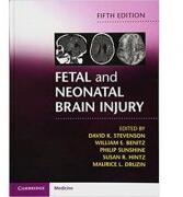 Fetal and Neonatal Brain Injury - David K. Stevenson, William E. Benitz, Philip Sunshine, Susan R. Hintz, Maurice L. Druzin (ISBN: 9781107110809)