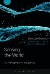 Sensing the World - David Le Breton, David Howes, Carmen Ruschiensky (ISBN: 9781474246026)