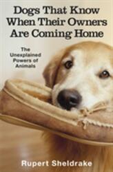 Dogs That Know When Their Owners Are Coming Home (2000)