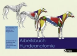 Arbeitsbuch Hundeanatomie - Andrew Gardiner, Maggie Raynor (ISBN: 9783954640140)