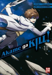 Akame ga KILL! . Bd. 11 - Takahiro, Tetsuya Tashiro, Antje Bockel (ISBN: 9782889217496)