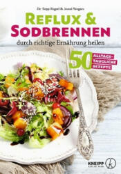 Reflux und Sodbrennen durch richtige Ernährung heilen - Sepp Fegerl, Josue Vergara (ISBN: 9783708807201)