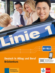 Brückenkurs B1+/B2.1 (ISBN: 9783126071116)