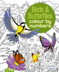Birds & Butterflies Colour by Numbers - Sara Storino (ISBN: 9781784286491)