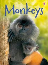 Monkeys - Lucy Bowmen (2010)