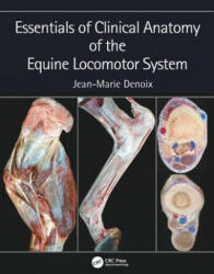 Essentials of Clinical Anatomy of the Equine Locomotor System - Jean-Marie Denoix (ISBN: 9781498754415)