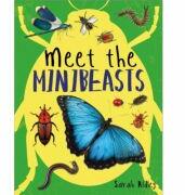 Meet the Minibeasts - Sarah Ridley (ISBN: 9781526307392)