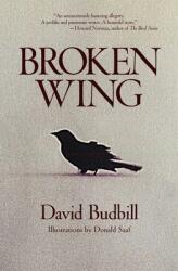 Broken Wing (ISBN: 9781582706870)