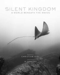 Silent Kingdom - Christian Vizl (ISBN: 9781683835844)