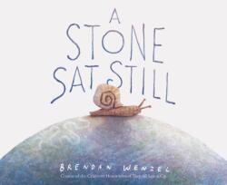 A Stone SAT Still (ISBN: 9781452173184)