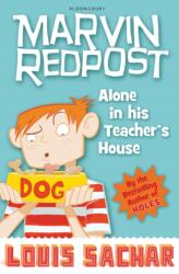 Alone in His Teacher's House (2010)