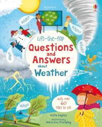 Lift-the-flap Questions and Answers about Weather (ISBN: 9781474953030)