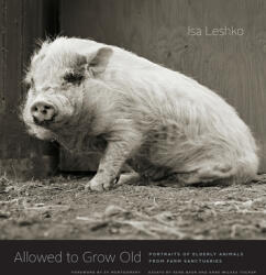 Allowed to Grow Old - Isa Leshko (ISBN: 9780226391373)