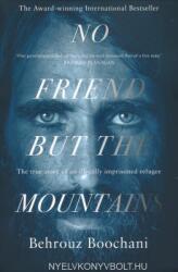 No Friend but the Mountains - Behrouz Boochani (ISBN: 9781529028485)