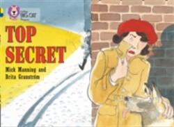 Top Secret (2012)