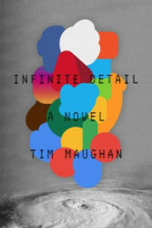 Infinite Detail (ISBN: 9780374175412)