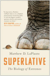 Superlative - Matthew D. Laplante (ISBN: 9781946885944)