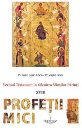 Vechiul Testament in talcuirea Sfintilor Parinti. Profetii Mici - Pr. Ioan Sorin Usca (ISBN: 9786060130086)