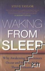 Waking from Sleep - Why Awakening Experiences Occur and How to Make them Permanent (2010)
