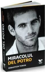 Miracolul Del Potro (ISBN: 9786067223460)