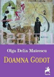 Doamna Godot (ISBN: 9786066649704)