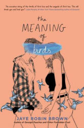 Meaning of Birds - BROWN JAYE (ISBN: 9780062824448)