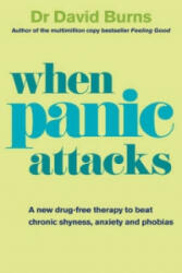 When Panic Attacks - David Burns (2010)