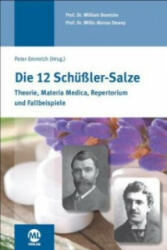 Die 12 Schüssler-Salze - William Boericke, Willis Alonso Dewey, Peter Emmrich, Peter Emmrich (ISBN: 9783945695234)