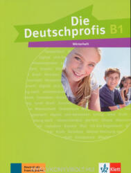 Die Deutschprofis B1 Wörterheft (ISBN: 9783126764926)