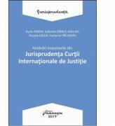Hotarari importante din Jurisprudenta Curtii Internationale de Justitie (ISBN: 9786062712785)