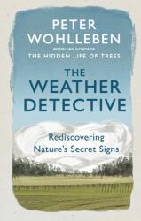 The Weather Detective (ISBN: 9781846046025)
