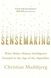 Sensemaking - Christian Madsbjerg (ISBN: 9780349142258)