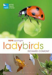 RSPB Spotlight Ladybirds - Richard Comont (ISBN: 9781472955852)