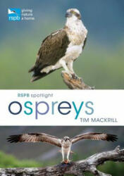 RSPB Spotlight Ospreys - Tim Mackrill (ISBN: 9781472956033)
