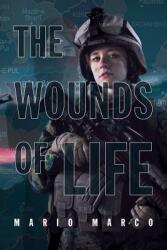 The Wounds of Life (ISBN: 9781643508580)