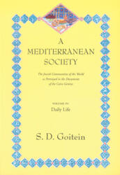 A Mediterranean Society: The Jewish Communities of the Arab Worlds as Portrayed in the Documents of the Cairo Geniza; Daily Life (ISBN: 9780520221611)