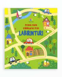 Prima mea calatorie prin labirinturi (ISBN: 9786067934373)