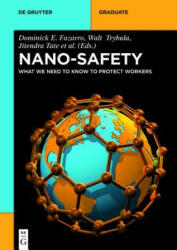 Nano-Safety - Dominick E. Fazarro, Walt Trybula, Jitendra Tate, Craig Hanks (ISBN: 9783110373752)