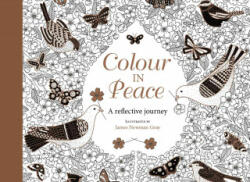 Colour in Peace Postcards: A Reflective Journey - James Newman Gray (ISBN: 9780745980133)