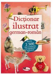 Dictionar ilustrat german-roman - Corina Gadiuta (ISBN: 9786060091356)