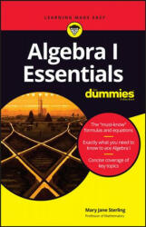 Algebra I Essentials For Dummies - Mary Jane Sterling (ISBN: 9781119590965)