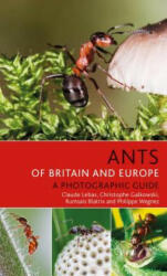 Ants of Britain and Europe - Claude Lebas, Christophe Galkowski, Rumsais Blatrix, Philippe Wegnez (ISBN: 9781472954084)