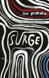 Surge (ISBN: 9781784742614)