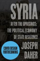 Syria After the Uprisings: The Political Economy of State Resilience (ISBN: 9781608469246)