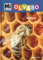 Méhek (2019)