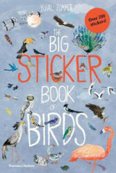 The Big Sticker Book of Birds (ISBN: 9780500652008)