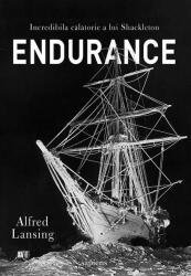 Endurance (ISBN: 9786067106091)