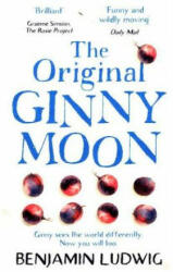 Original Ginny Moon - Benjamin Ludwig (ISBN: 9781848456624)